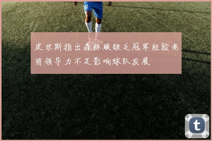 皮尔斯指出森林狼缺乏冠军经验老将领导力不足影响球队发展